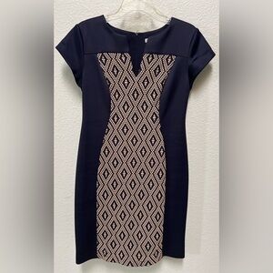 Dress Barn Bodycon Dress